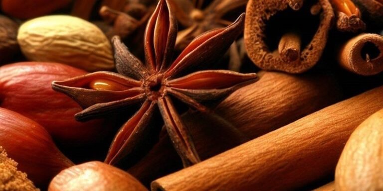 Lancement de KamilaSpice.com Épices Bio et Premium