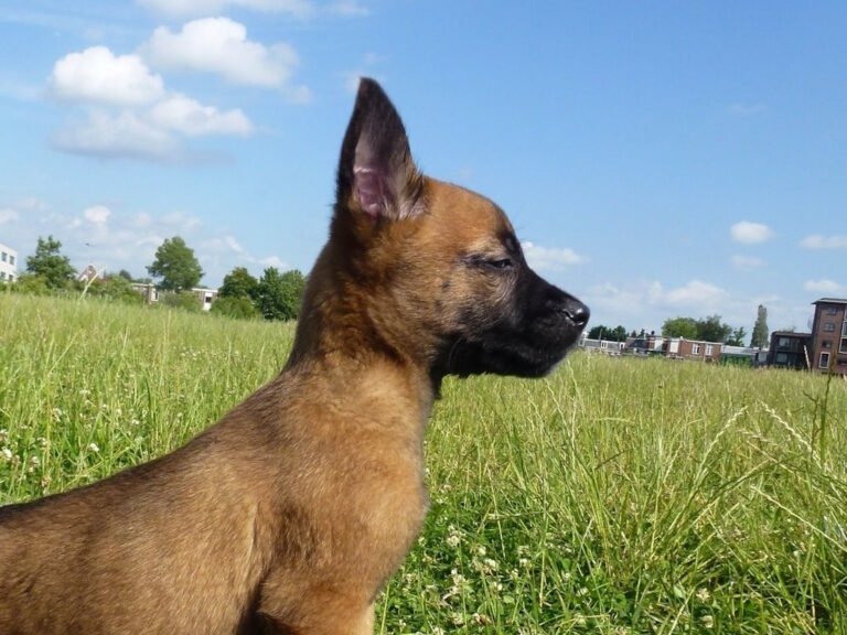 Conciergerie de la Convenance à Sainte-Marie