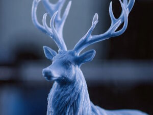 Service Impression 3D personnalisée à la Réunion (97441) Nord